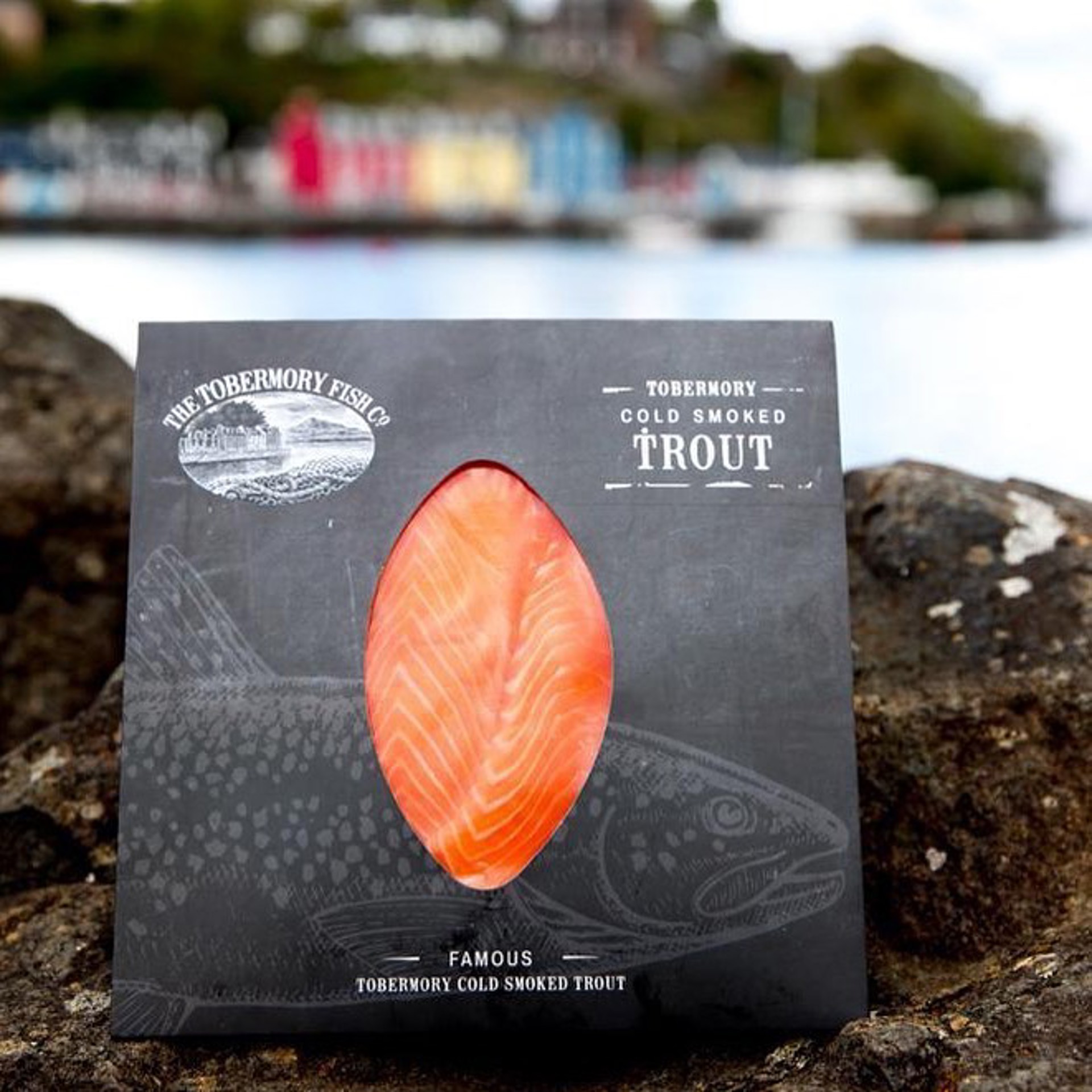 Background image - Mull Trout Tob Fish Co