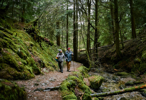 Puck's Glen is a fantastic walking trail in Cowal. Image: Forestry & Land Scotland.