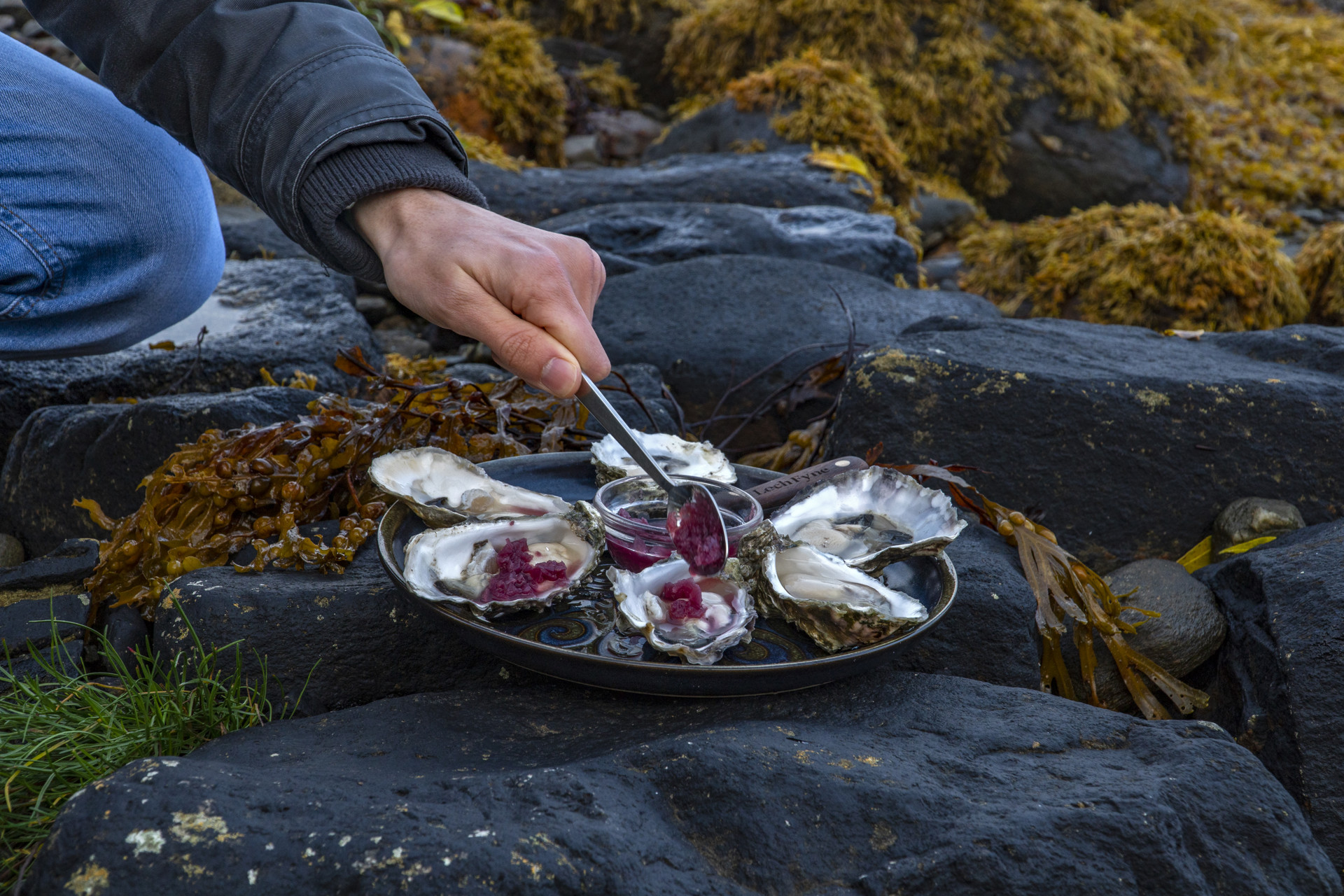 Background image - Tasteofplacetrails Seafood Oysters