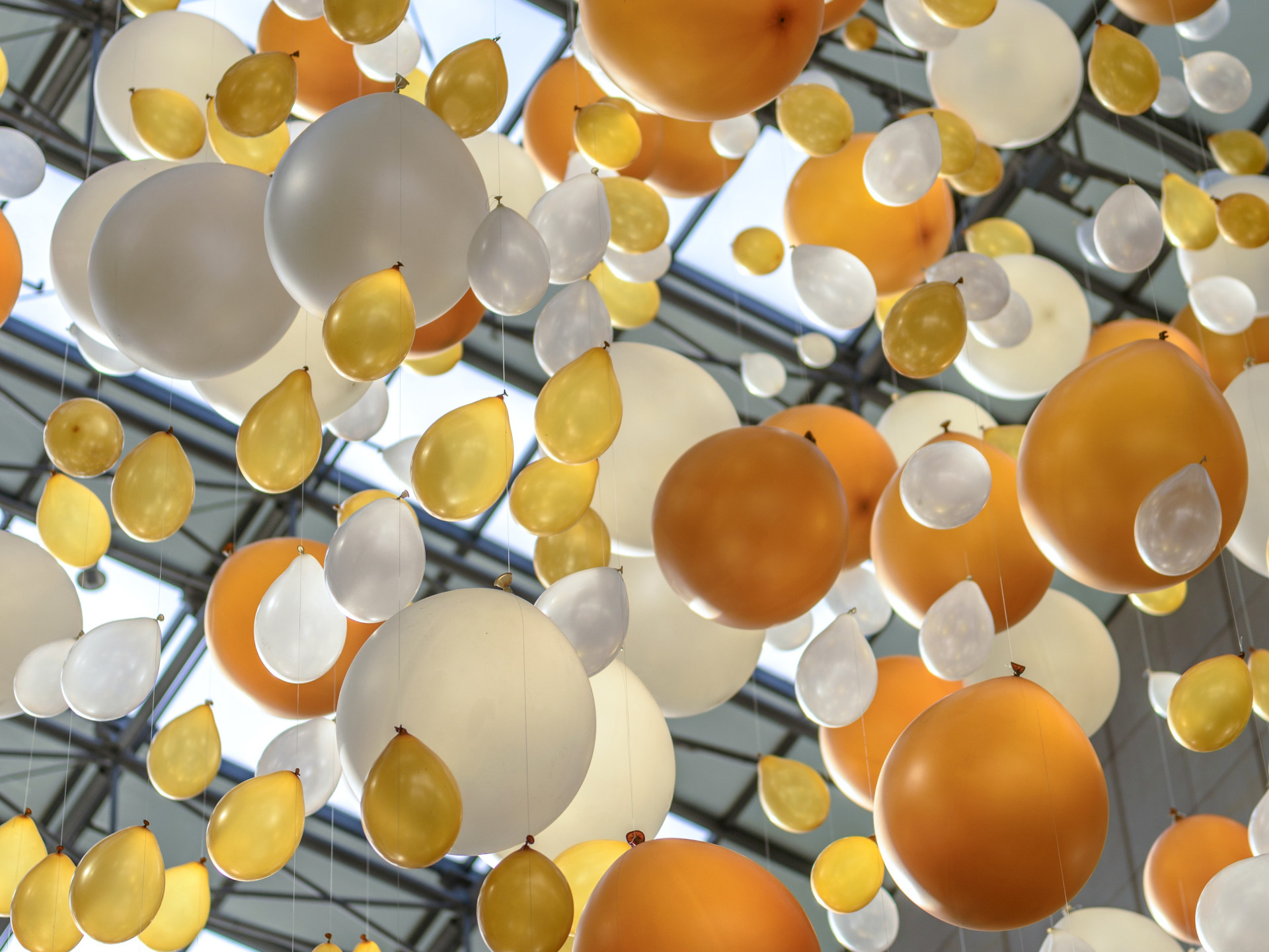 Background image - Event image