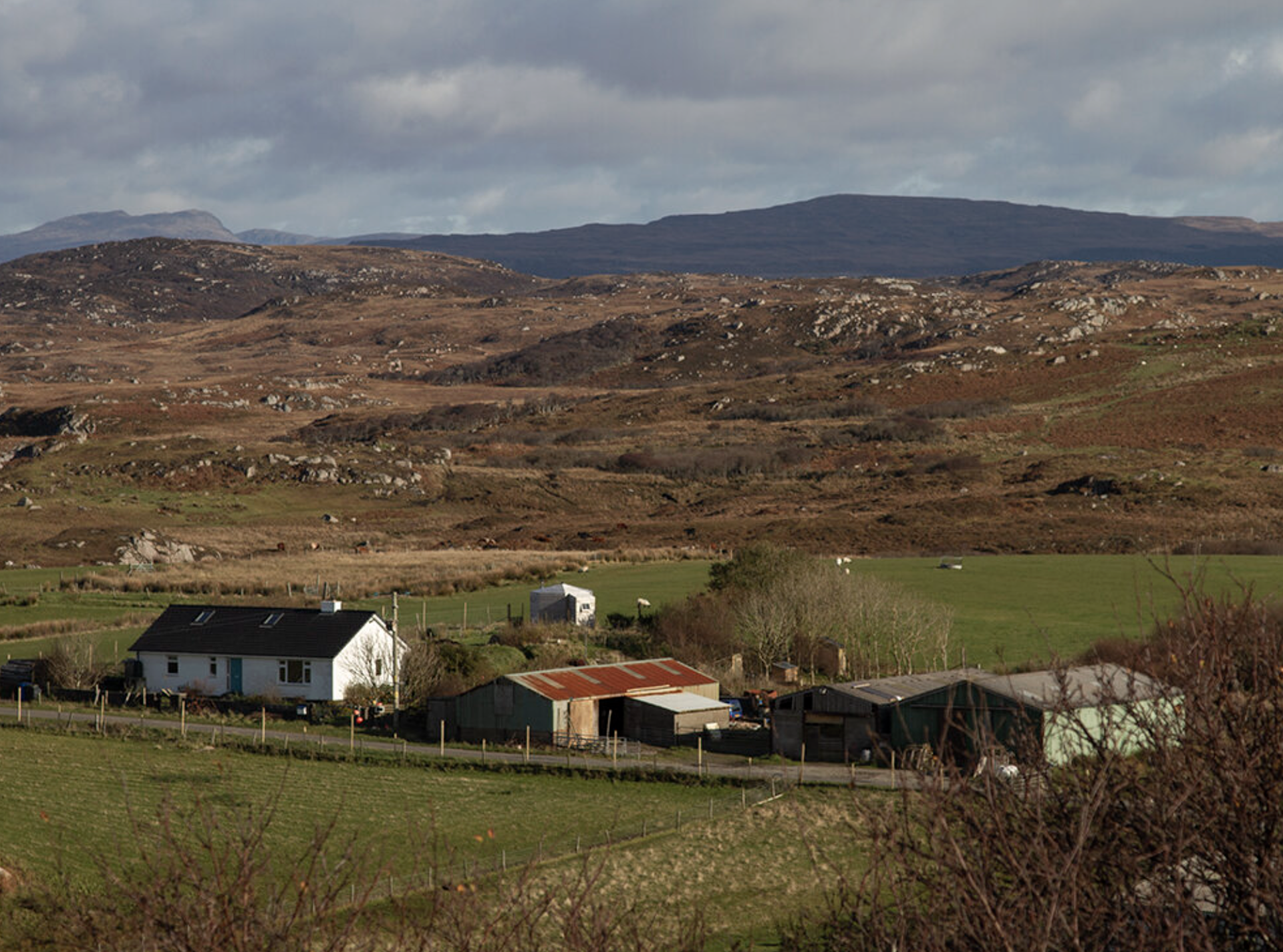 Background image - Event image