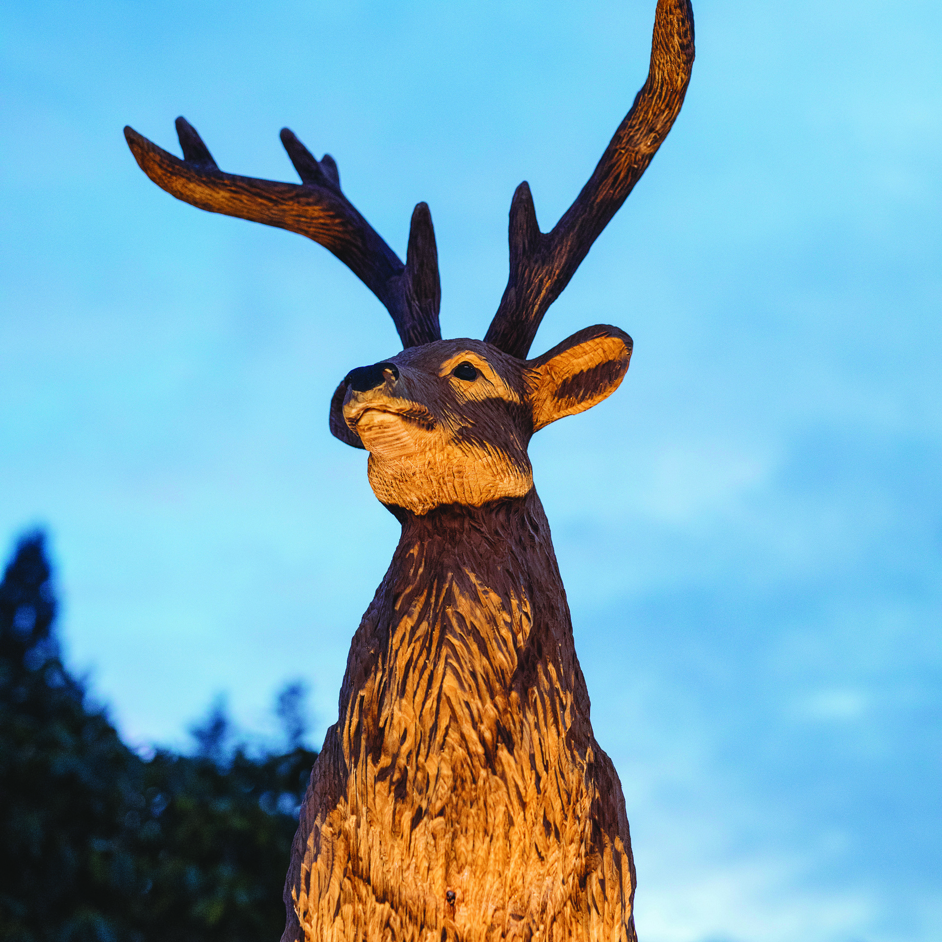 Background image - Event image