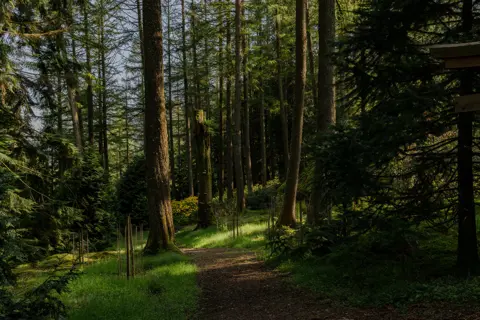 Background image - Event image