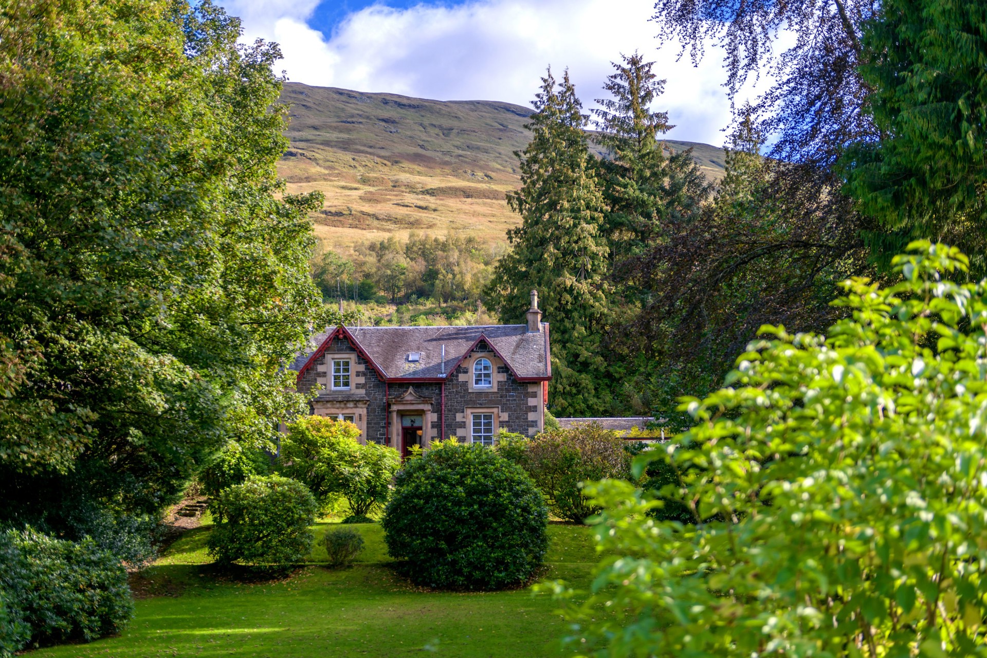 Background image - Property image