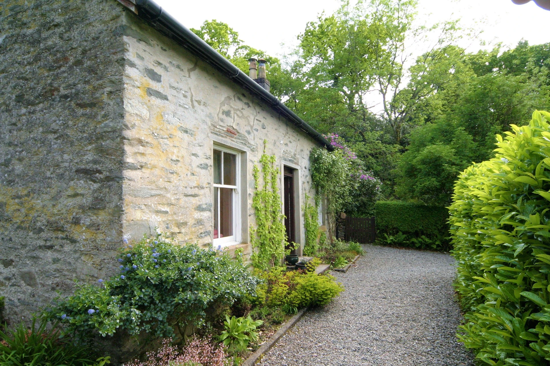Springburn Cottage Image 1