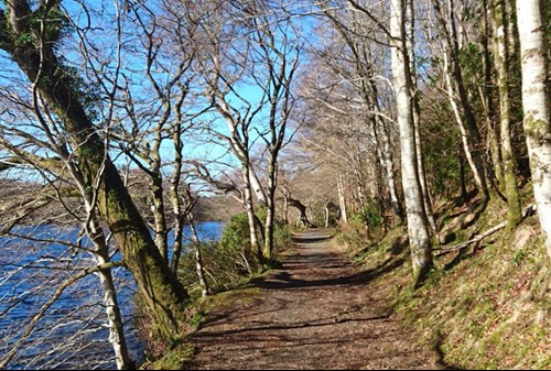 Aros Park on the Isle of Mull.