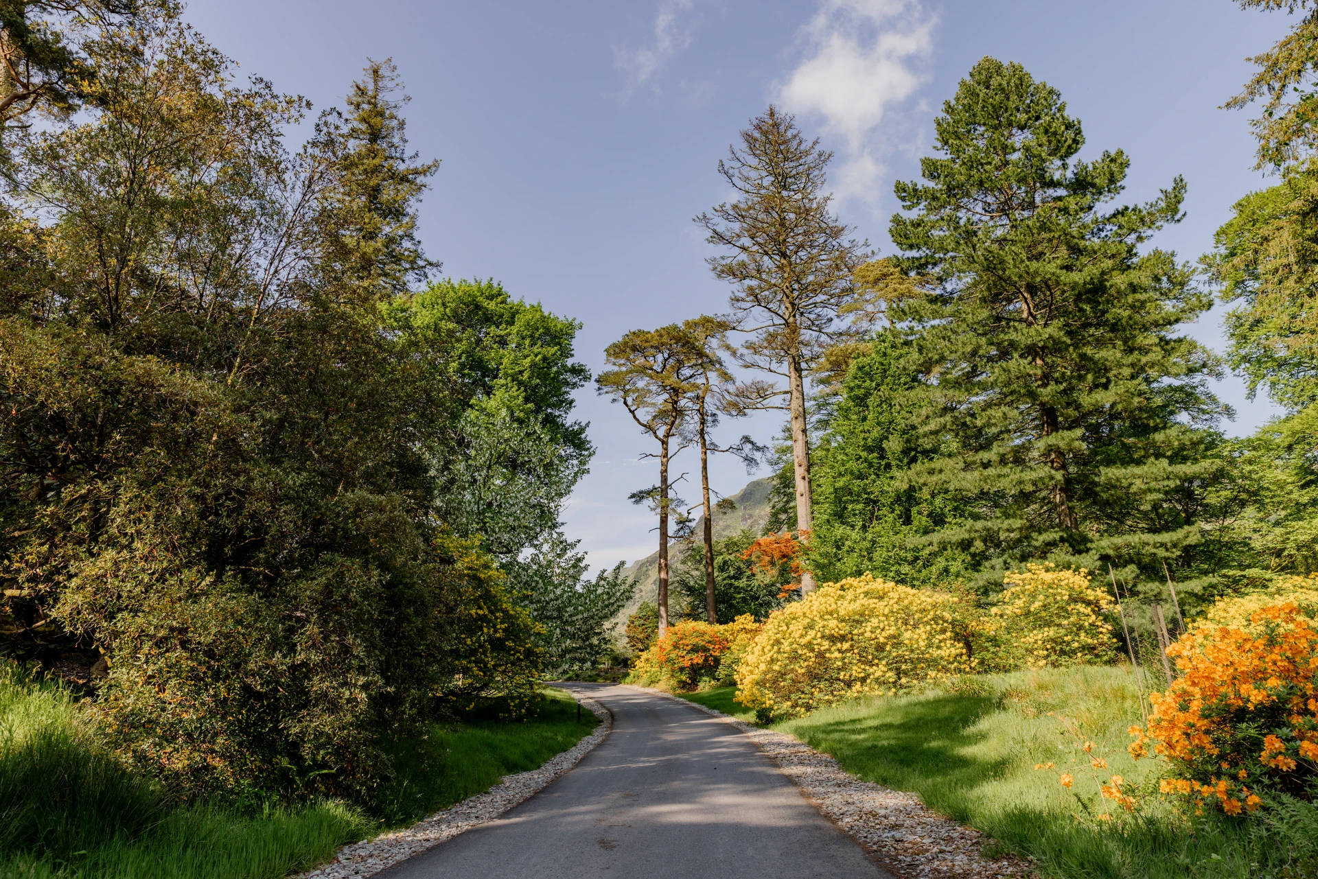 rs6465_ec_benmore_landscape_03.jpg