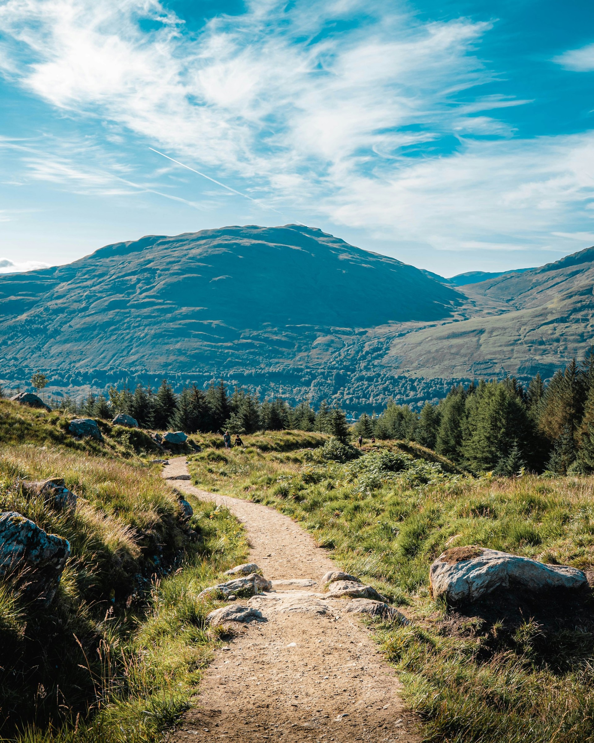 Background image - Arrochar Wild About Argyll 3