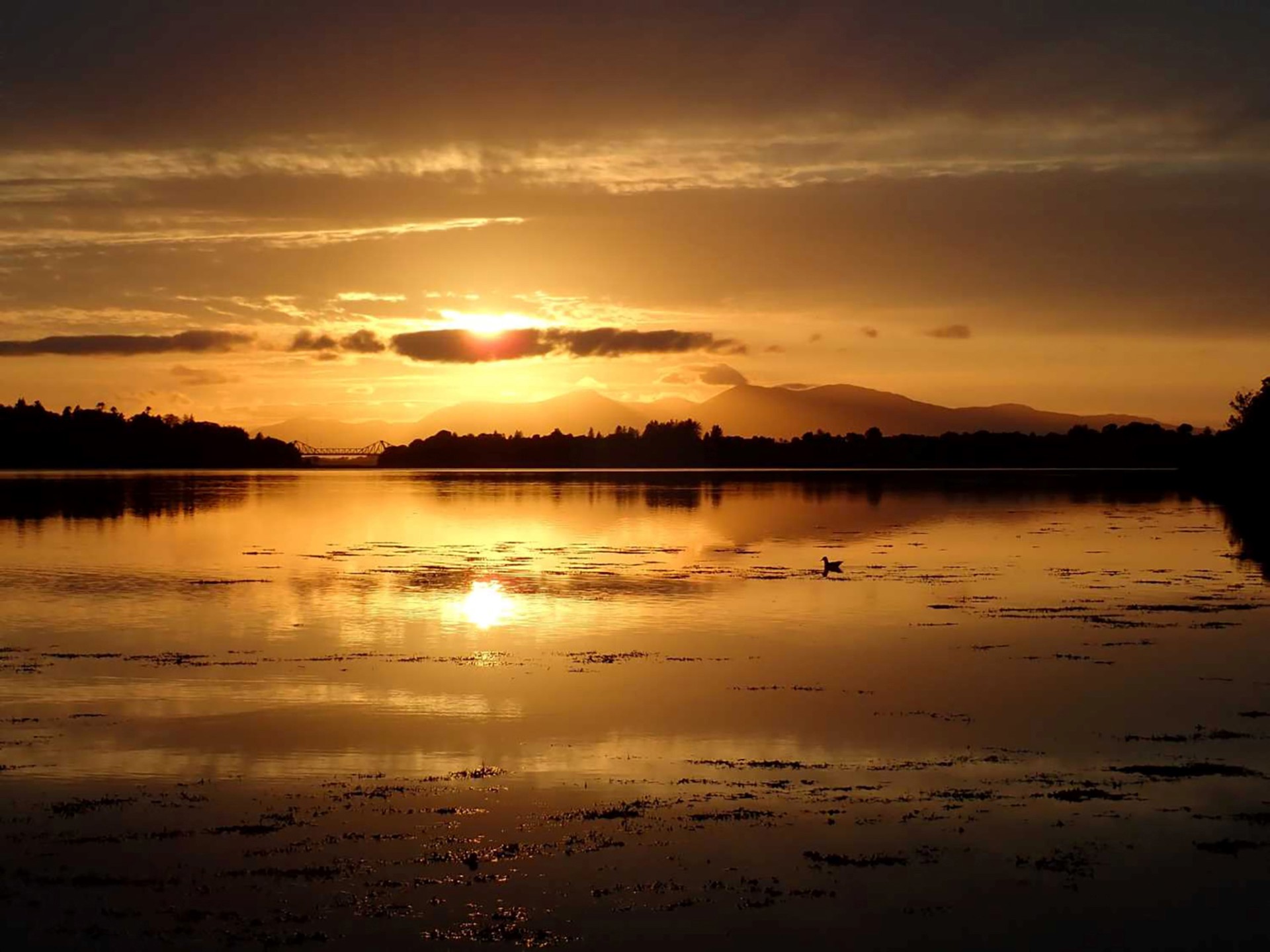 Background image - heathery_heights__mull_and_loch_etive_at_sunset.jpg