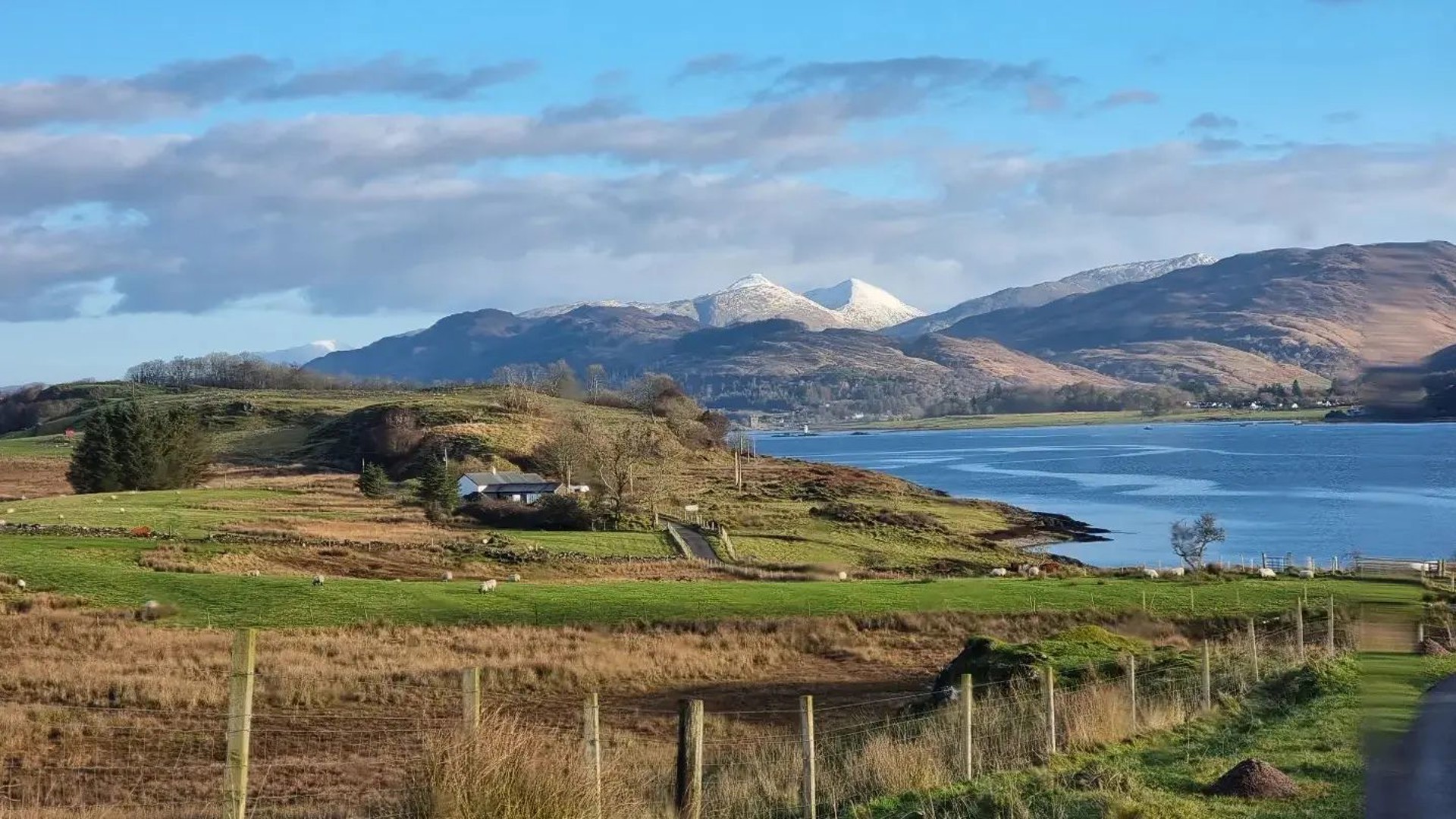 Background image - 324472660_495987126004743_5814854355676787945_n.jpg