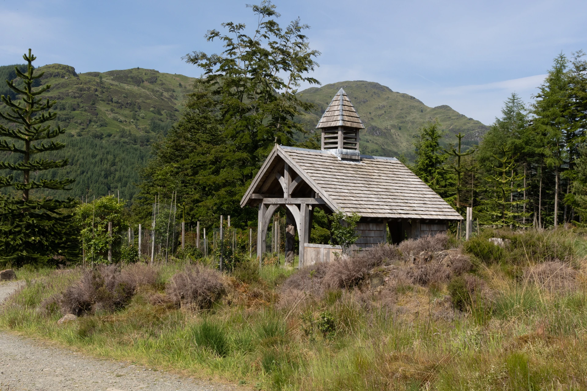 rs4553_benmore_garden_10-06-23___chilean_viewpoint_refuge___04.jpg