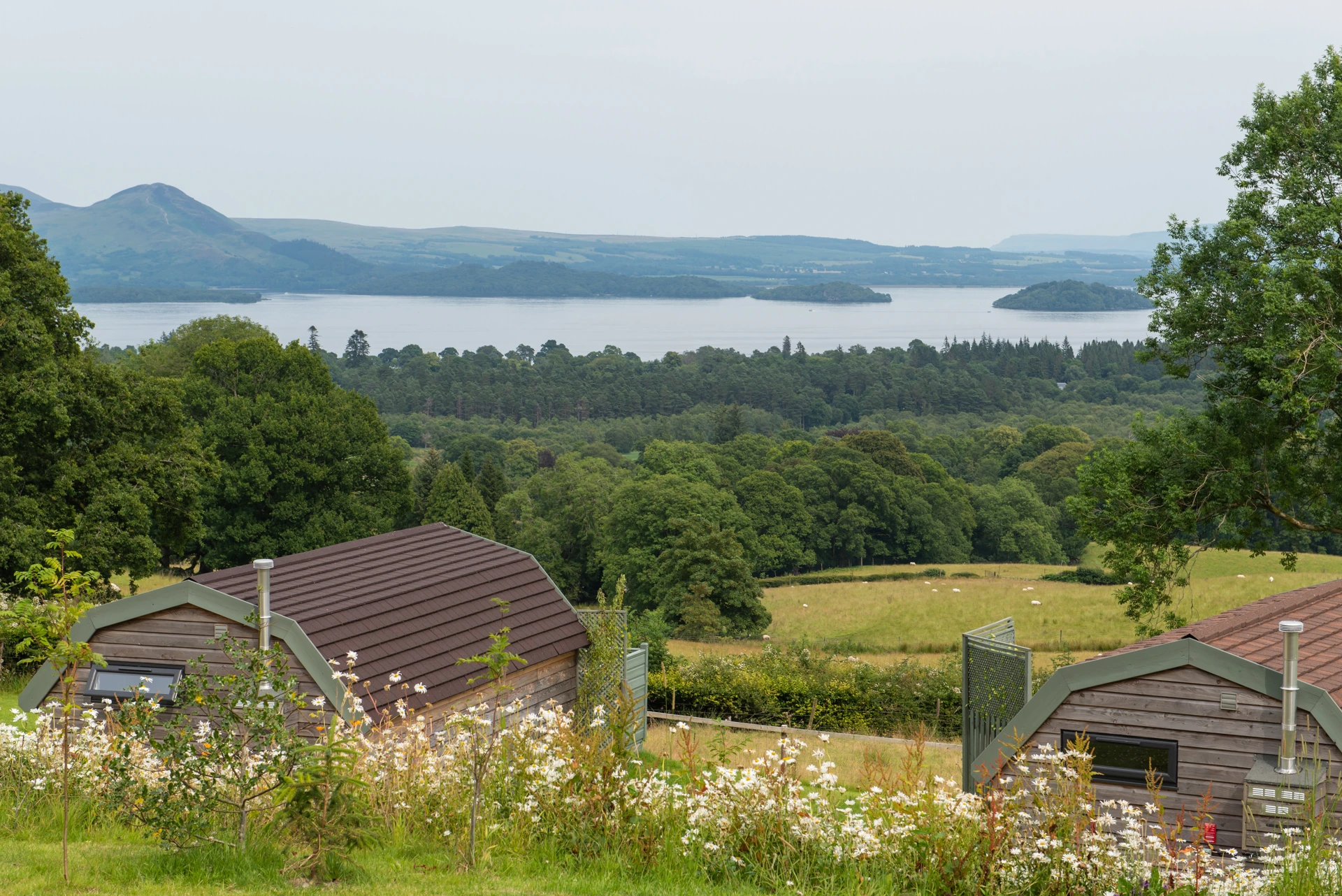 dsc_0215.jpg