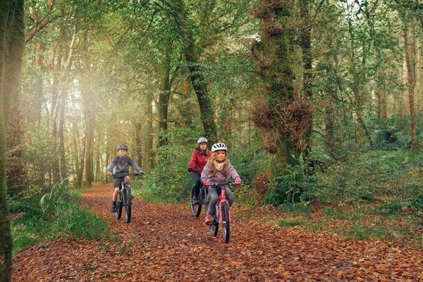 MountainBiking8_SutherlandsGroveStephenSweeneyPhotography.jpg