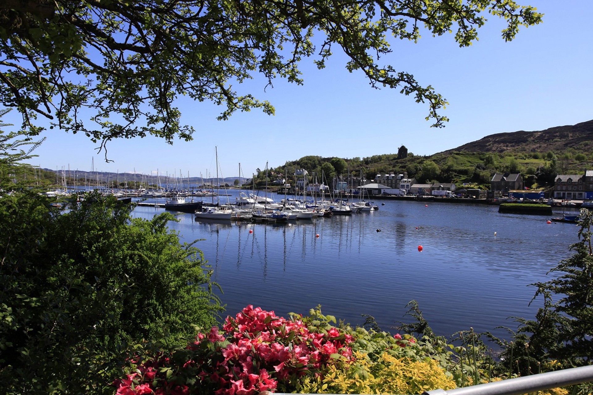 Background image - Visitscotland Tarbert