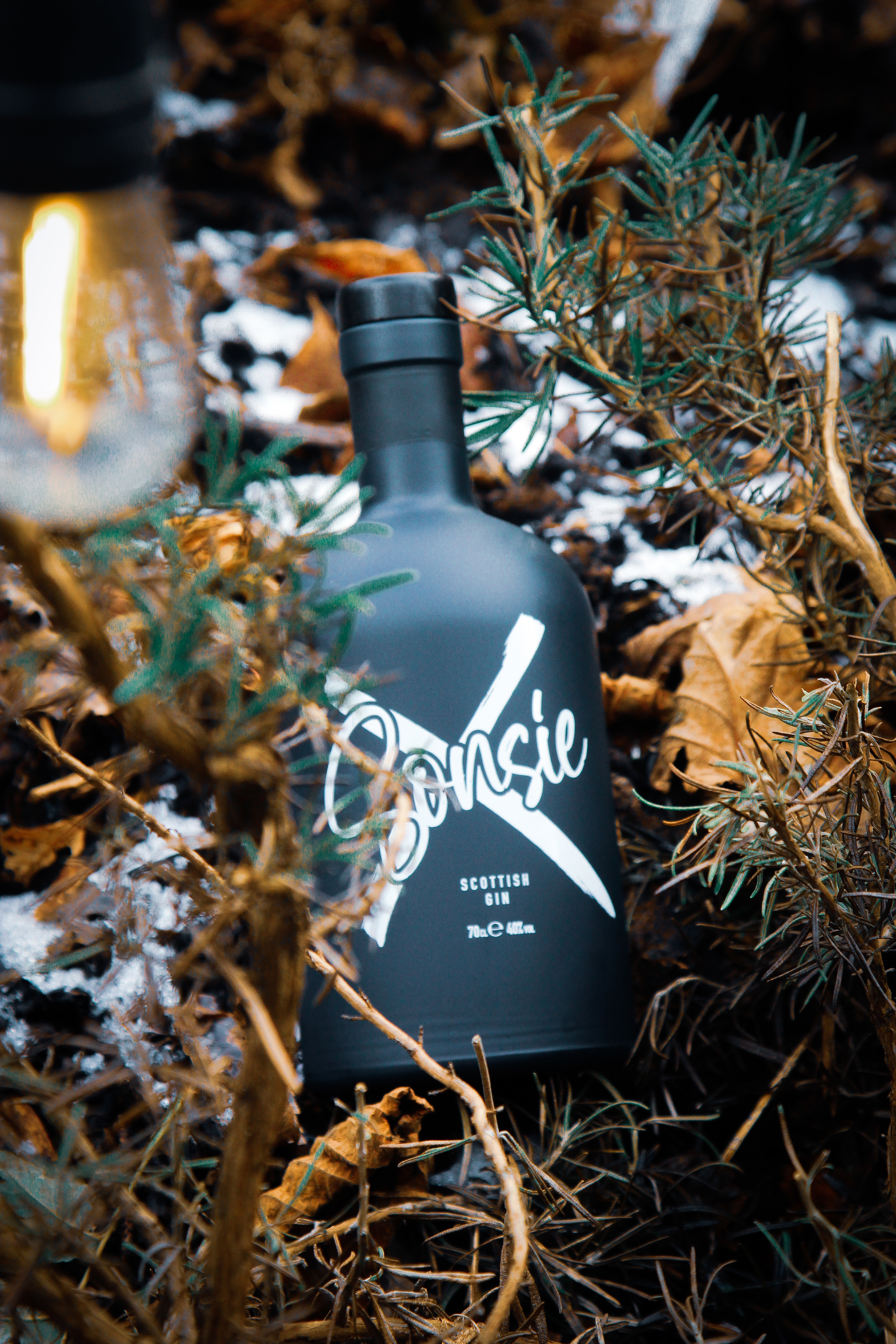 Arrochar Alps Gin Ltd | Gin Shop | Wild About Argyll