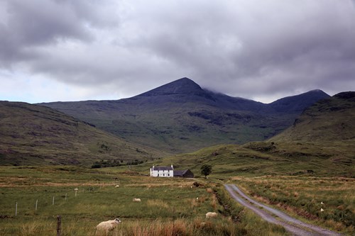 Stunning views of Scallastle Forest from the distance.