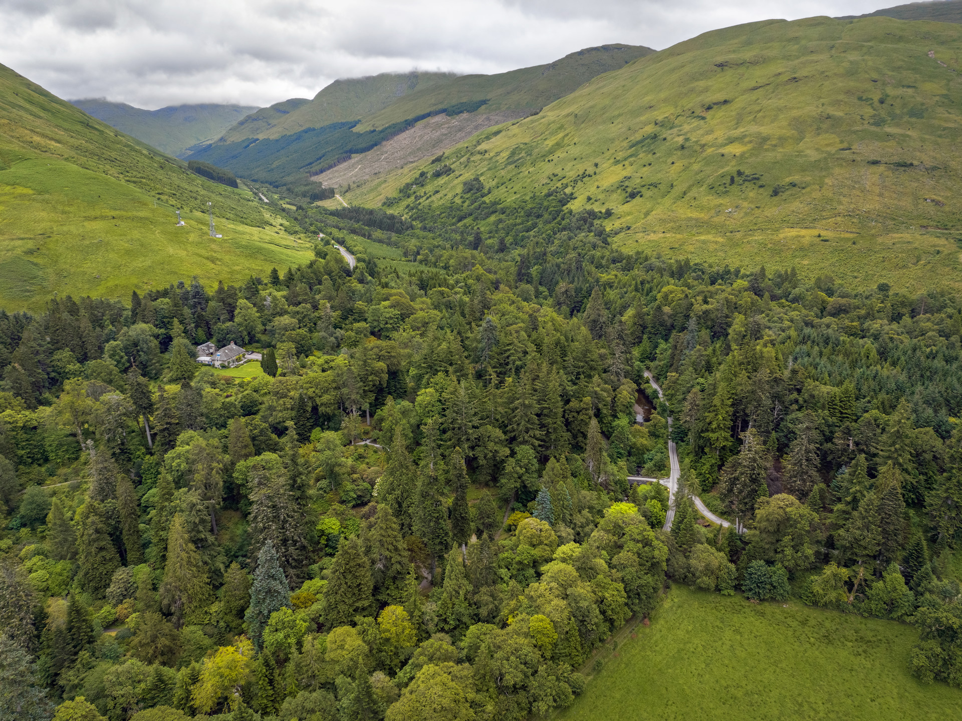 Background image - 82158 Ardkinglas Woodland Garden VS Stuart Brunton