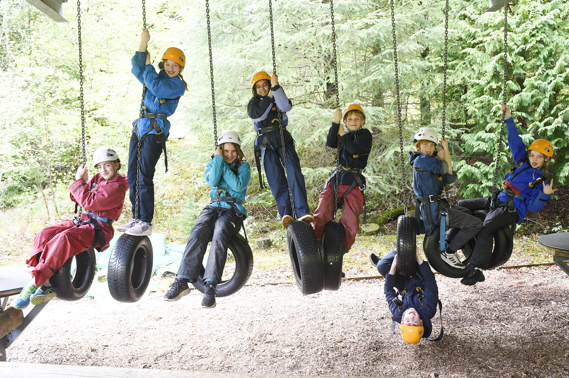 Background image - 53168490808_16a24487fb_o.jpg