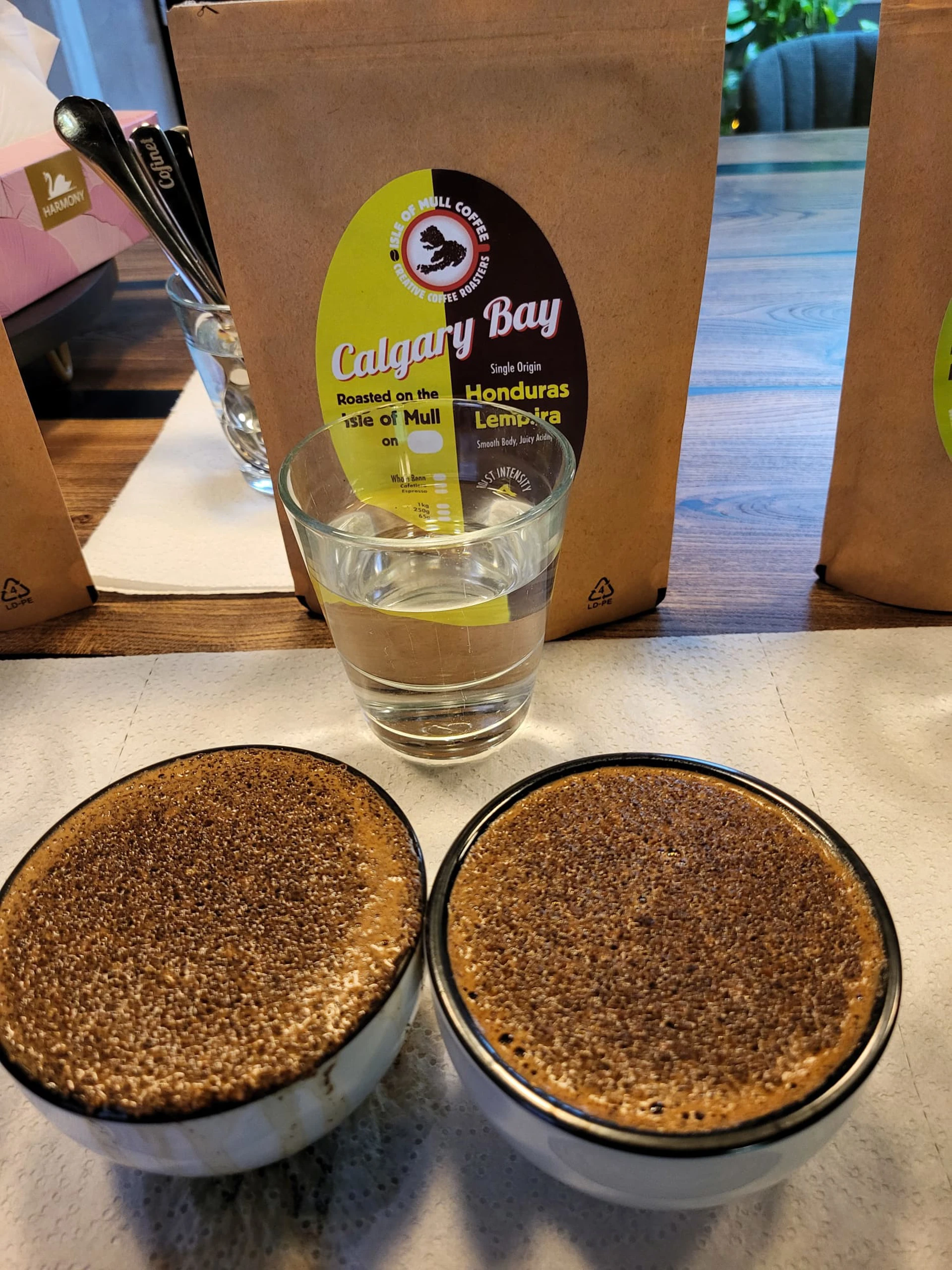 cupping_experience.jpg