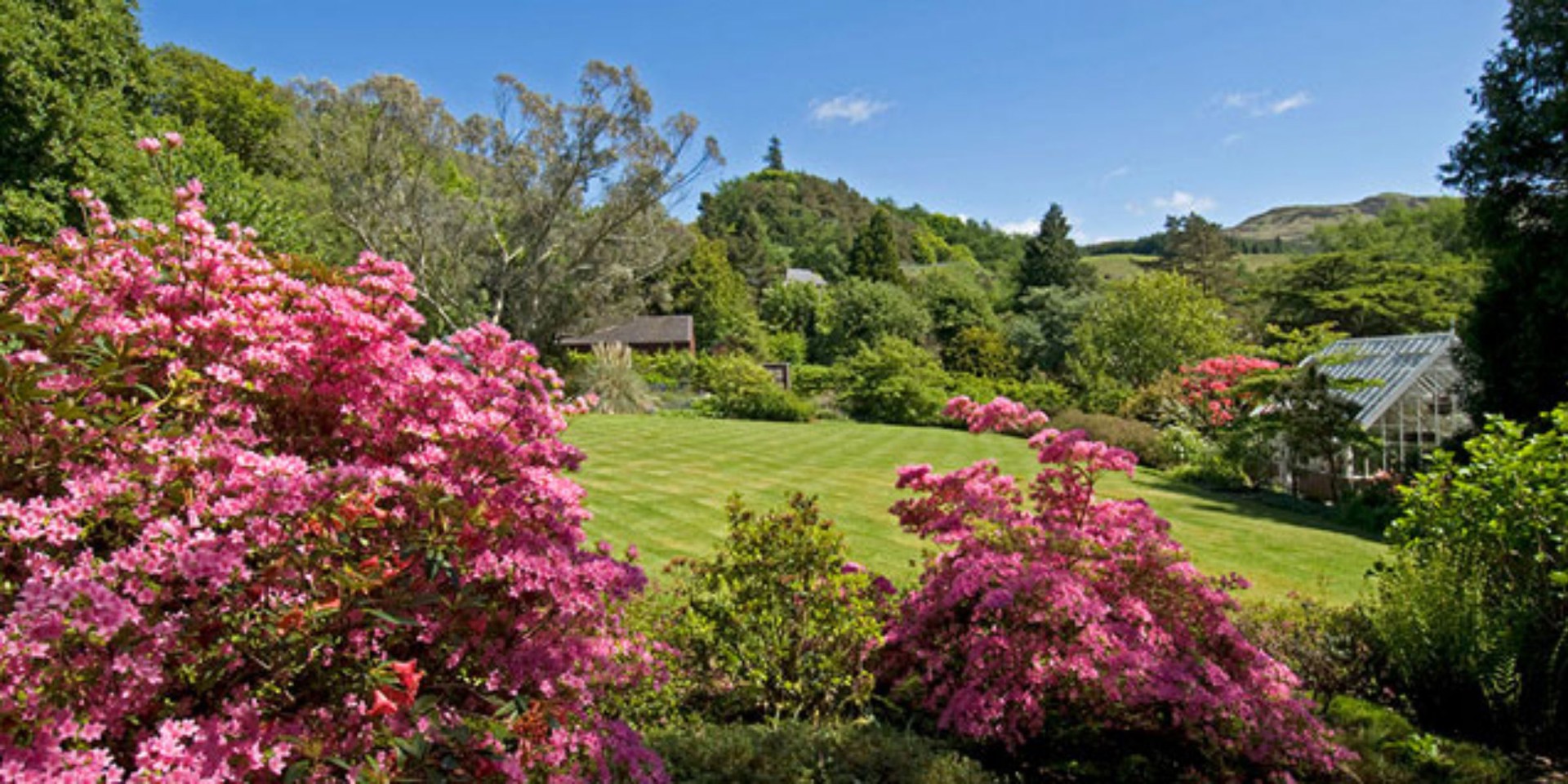 Background image - Arduaine Garden