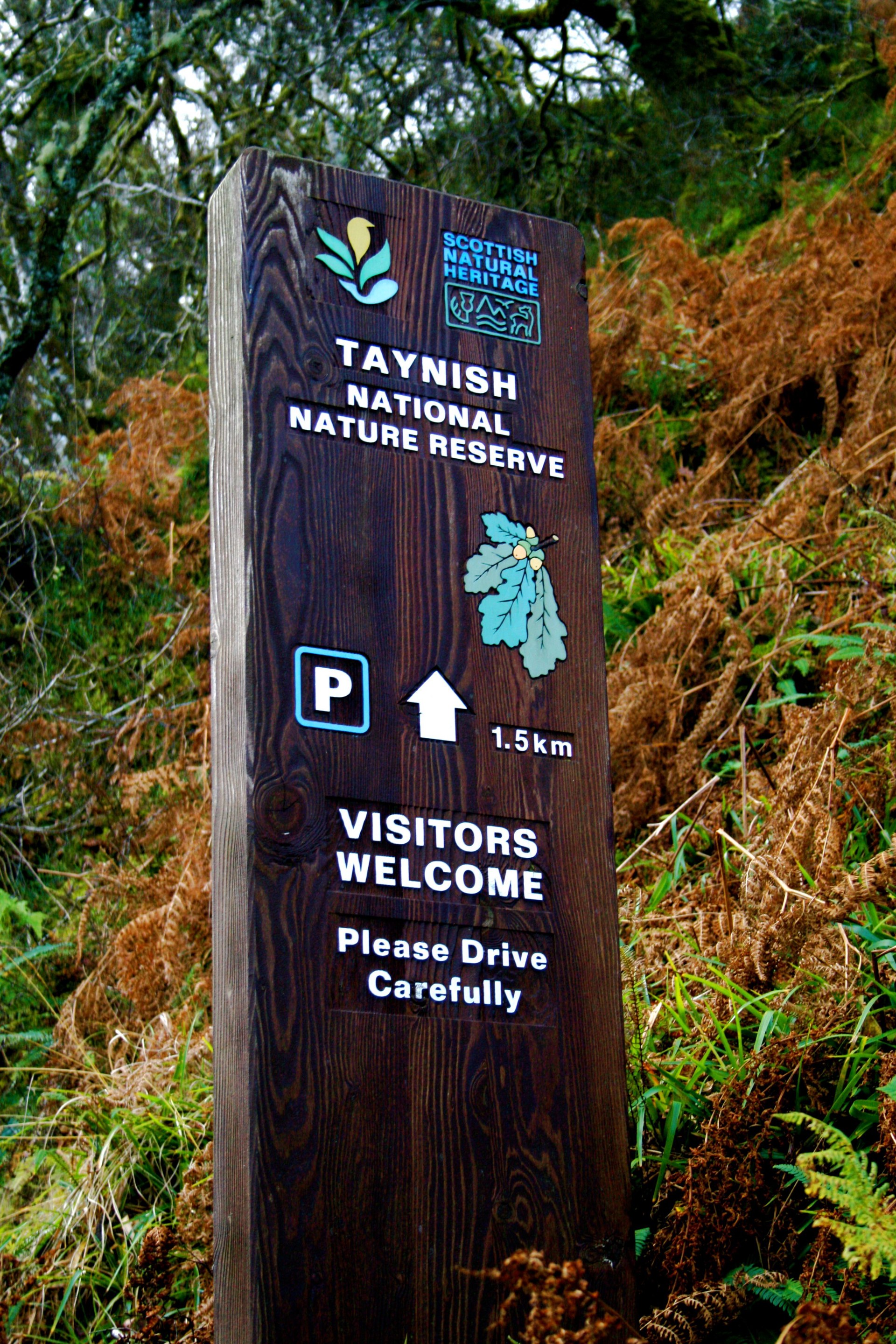 Background image - Taynish Nature Reserve