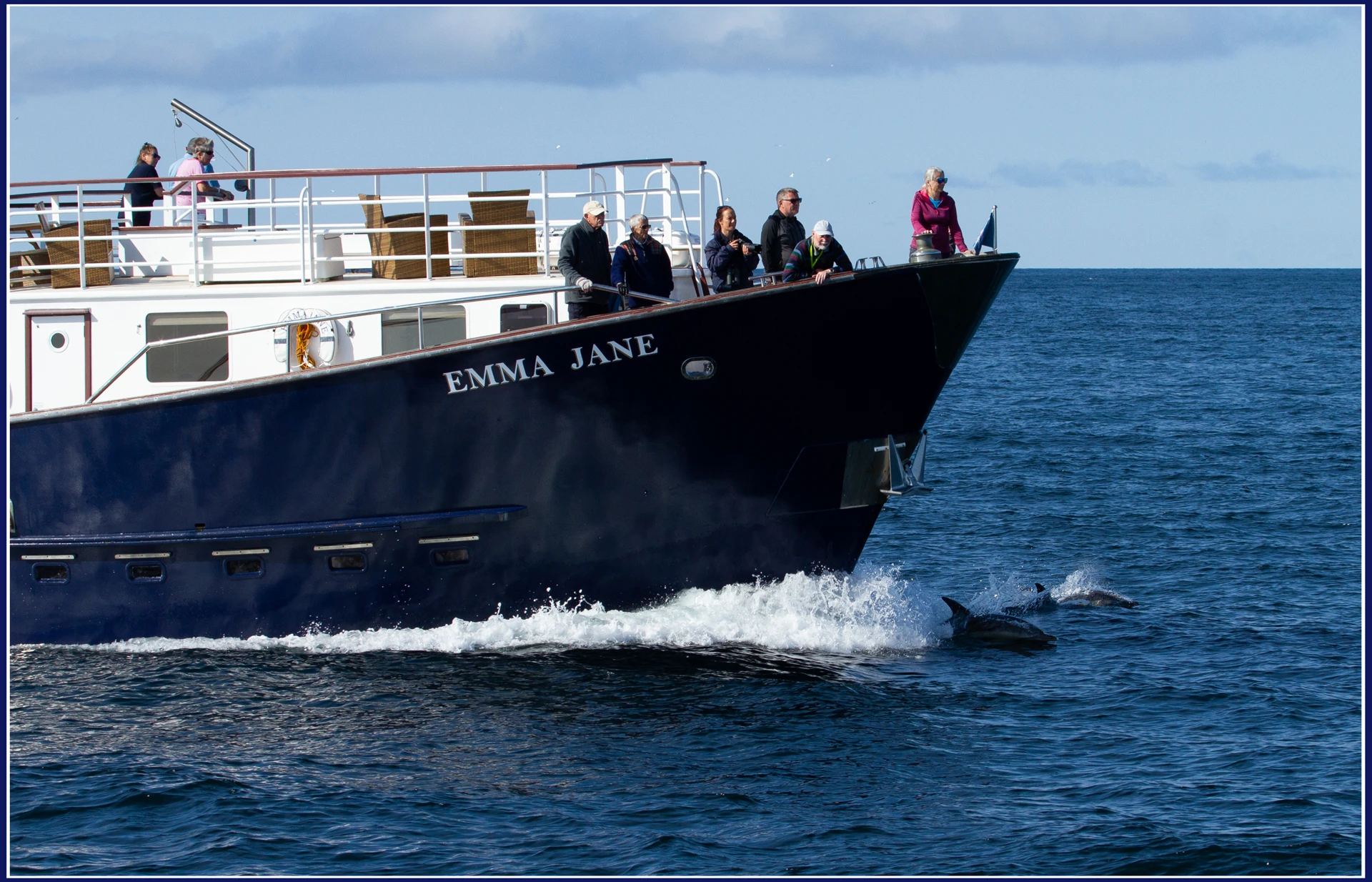bow_riding_dolphin_ej_-__pat_boreham__2_.jpg