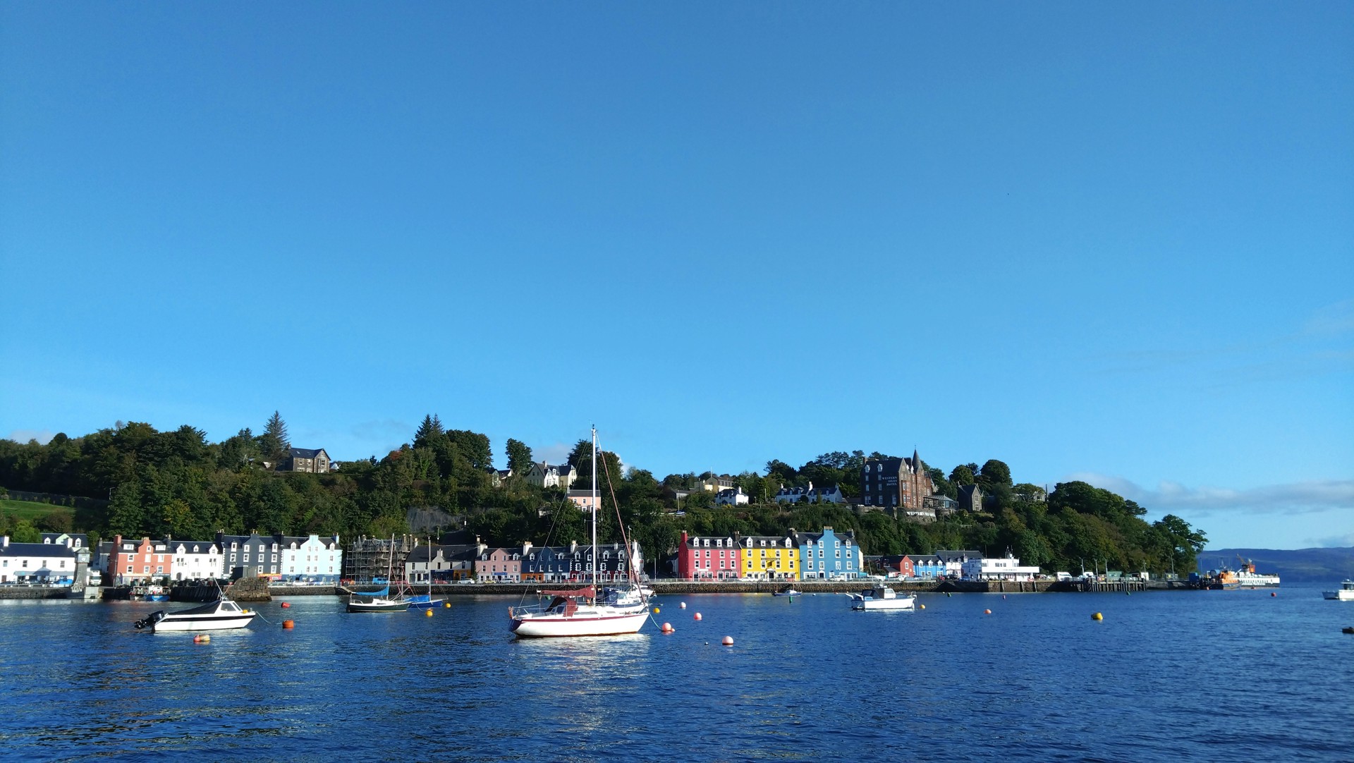 Background image - dsc_5691.jpg