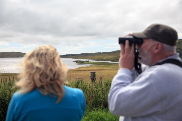 Bird Watching Islay