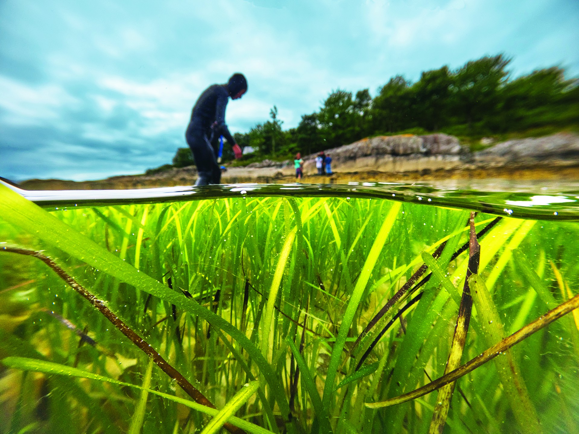 Background image - Beachhunt Above And Below