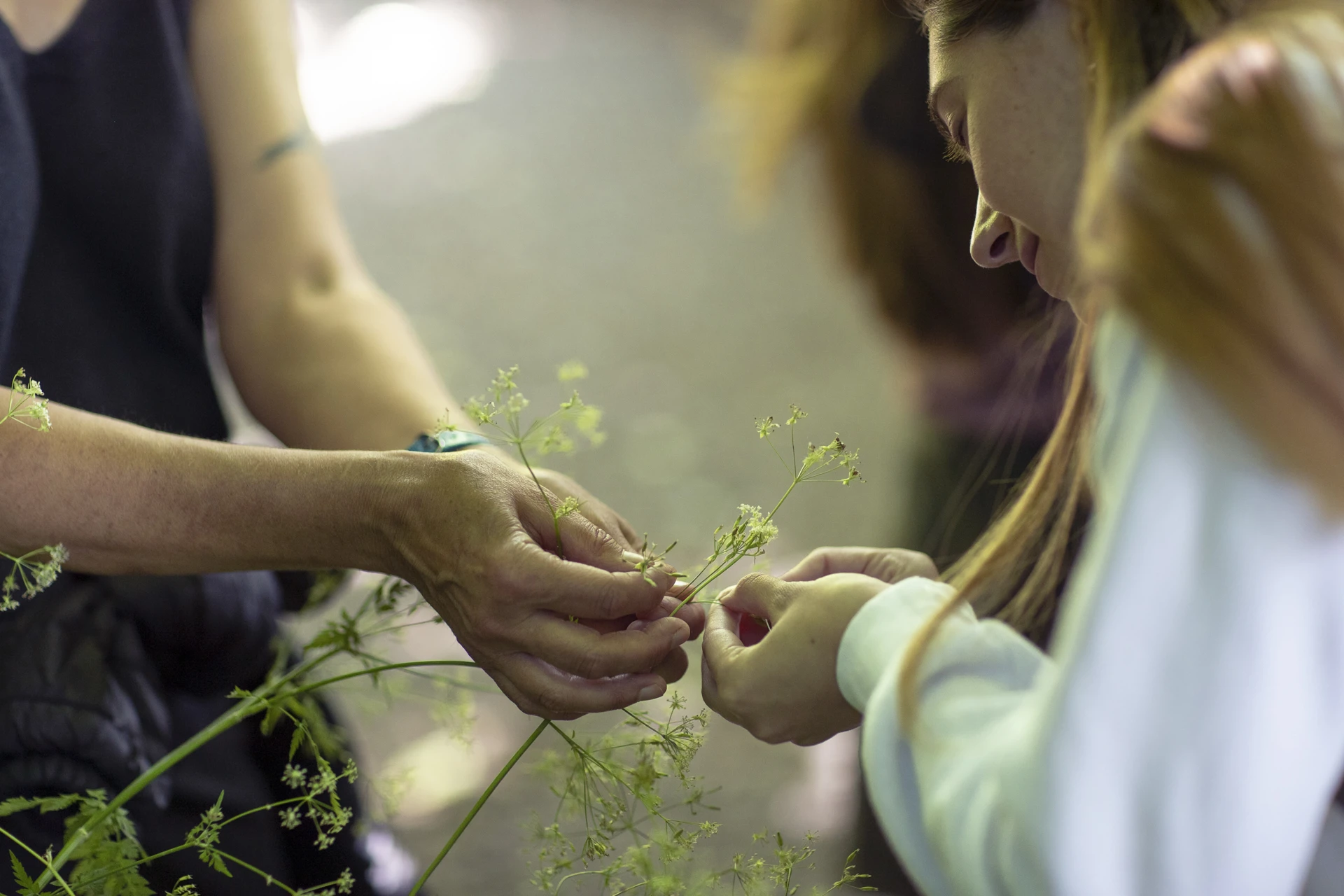 Foraging Fortnight 2023 2