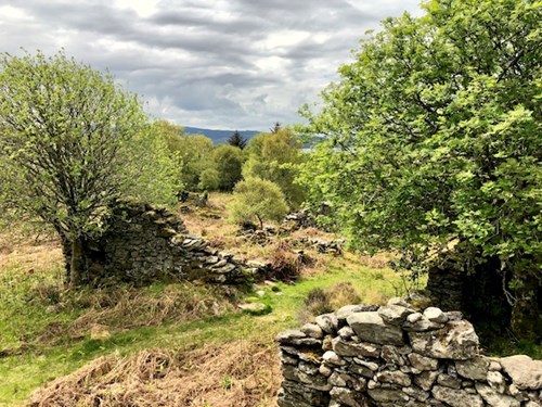 Glenan's lost village ruins, Credit: Wild about Argyll