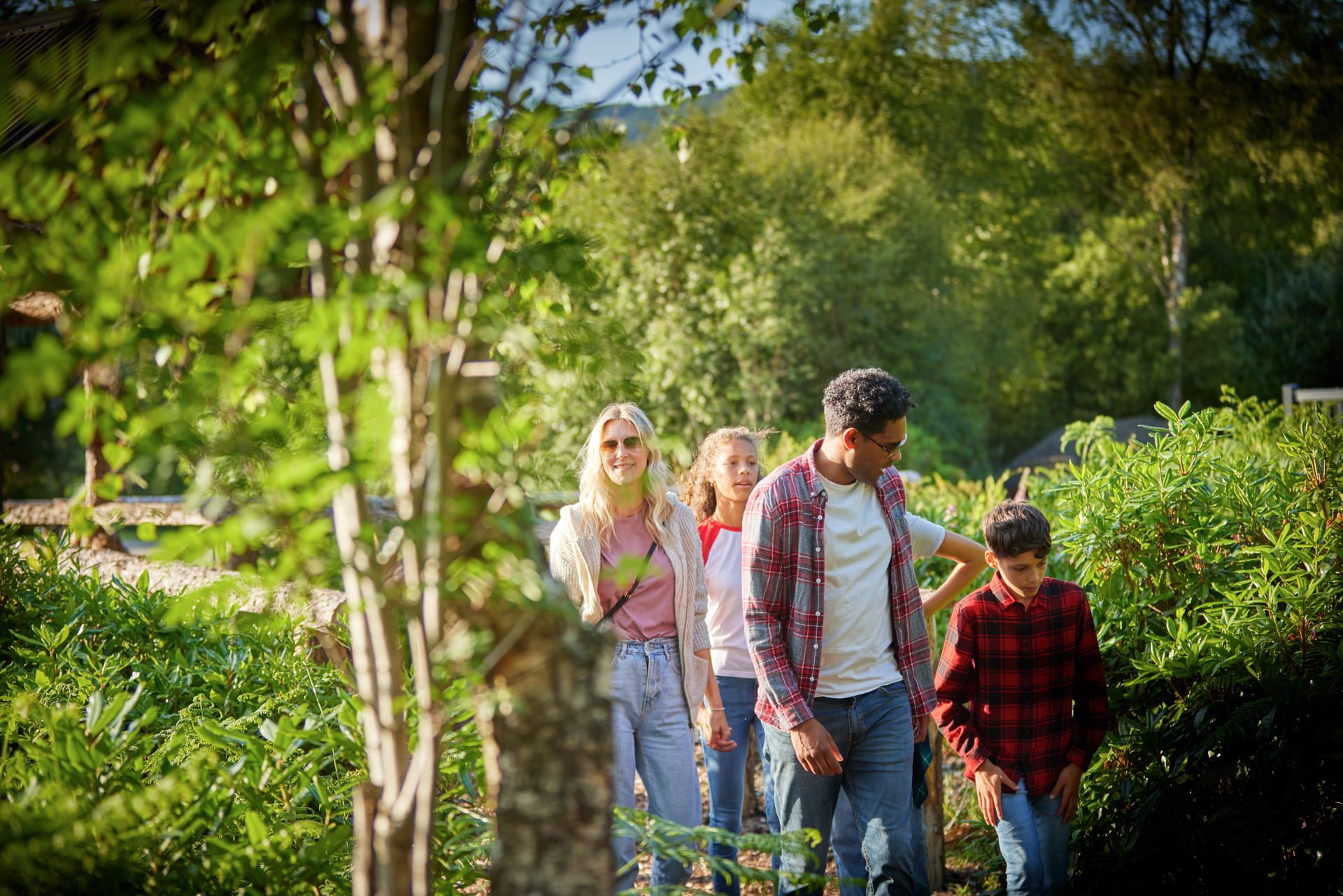 Background image - 14 (1)