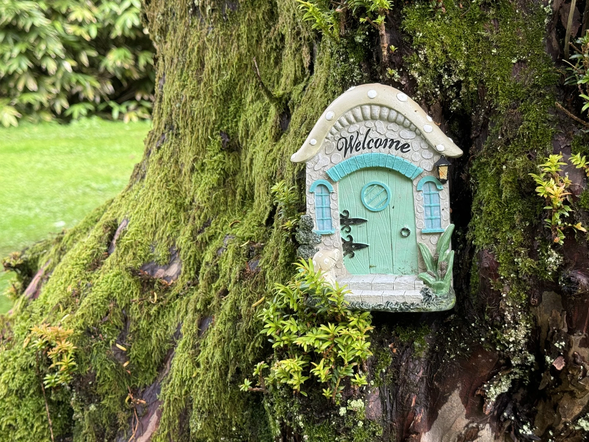 494192572 1251720606957297 1804089288458936586 N