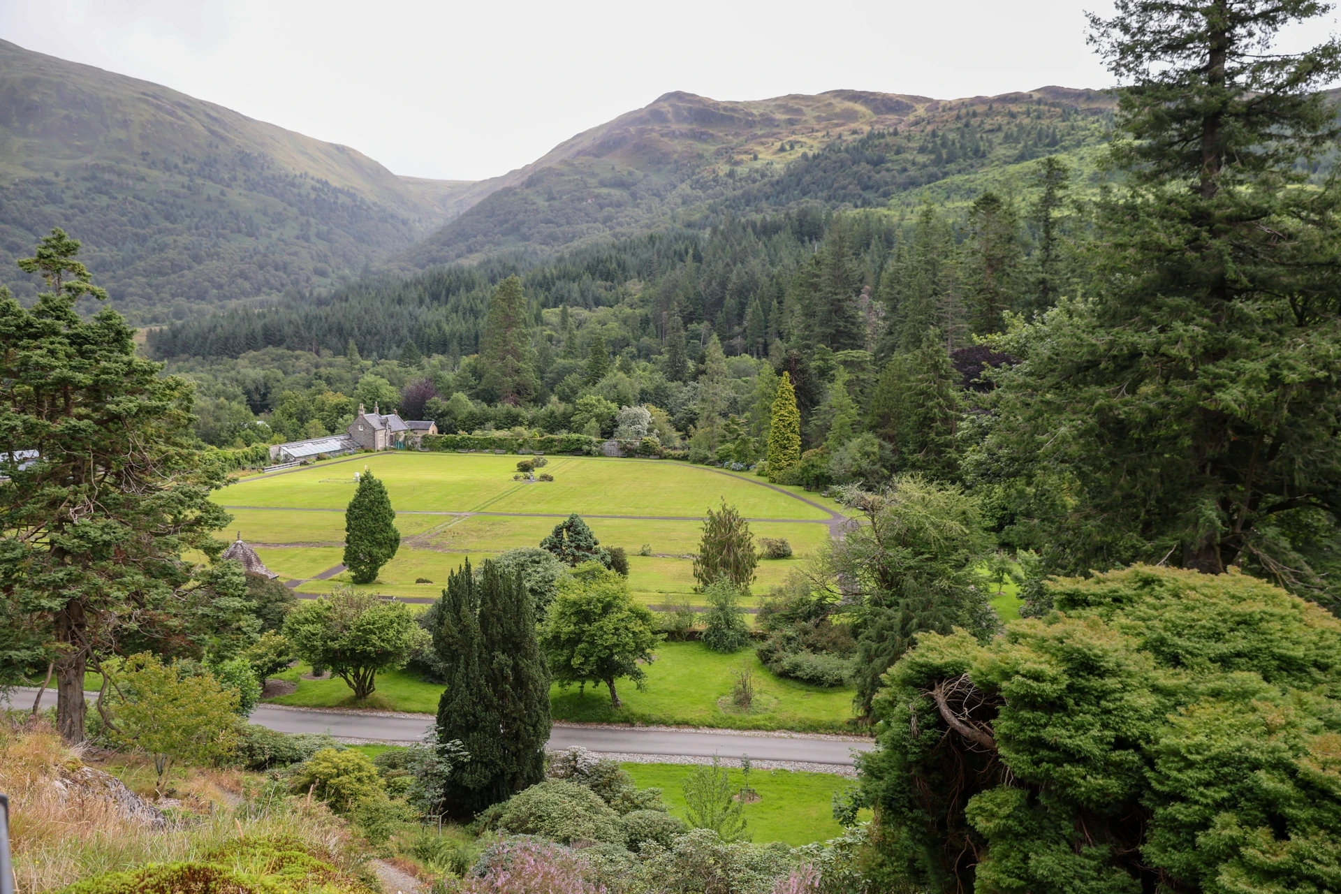 rs24007_benmore_garden_30-07-25___16.jpg