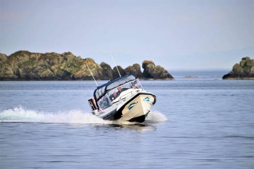 Whilst on Islay, join Islay Sea Adventure on one of their boat tours.
