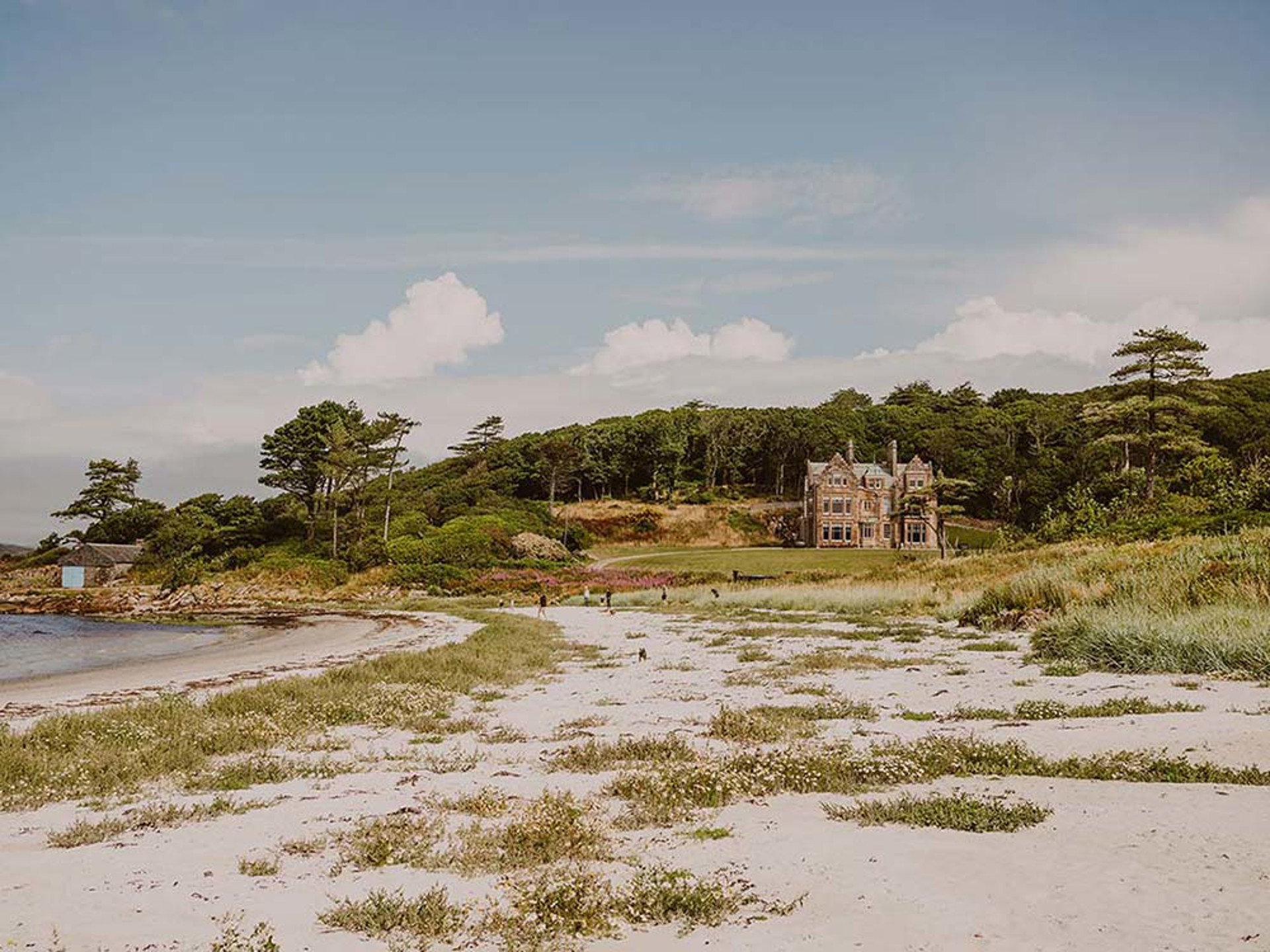 Background image - THE LOOKOUT