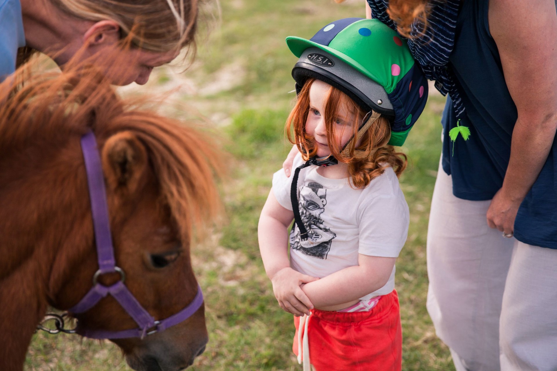 Background image - Family Activities Horse Riding Argyll