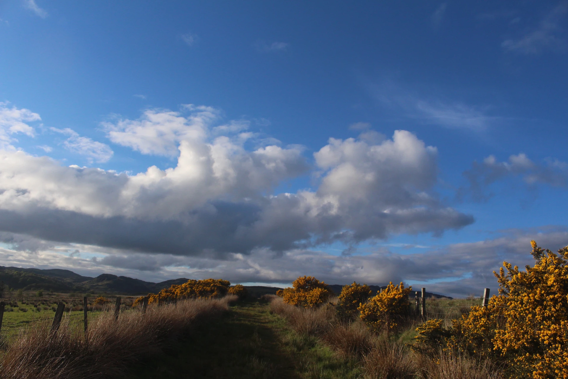 Farm Track To The Cowal Way