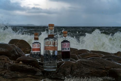 While on Jura, make sure to try the locally produce Lussa Gin.
