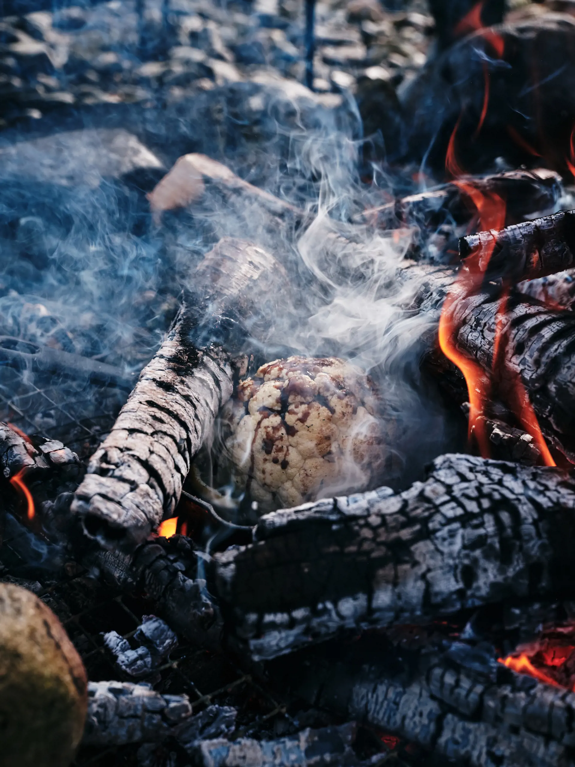 wild_kabn_kitchen_campfire.jpg