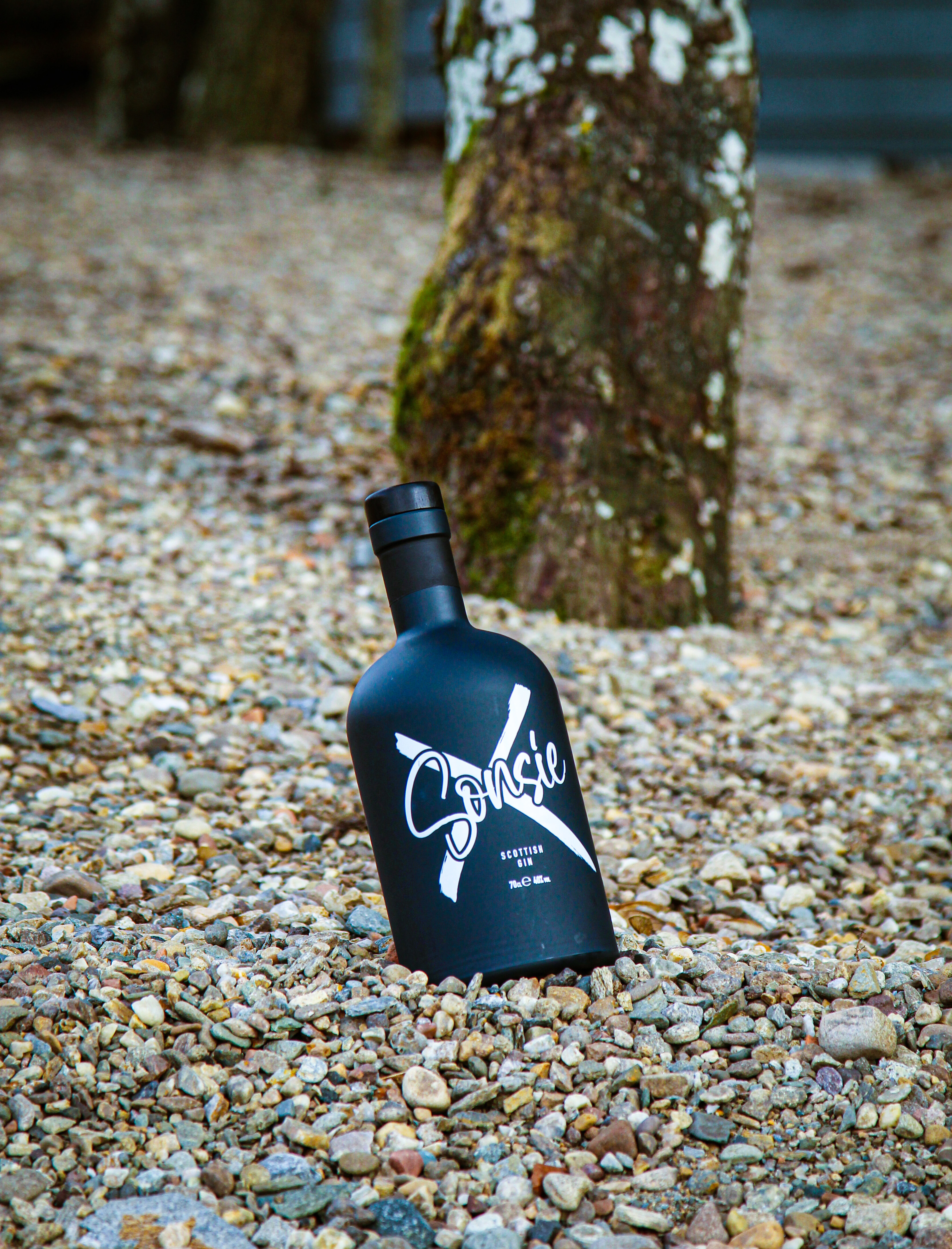 Arrochar Alps Gin Ltd | Gin Shop | Wild About Argyll