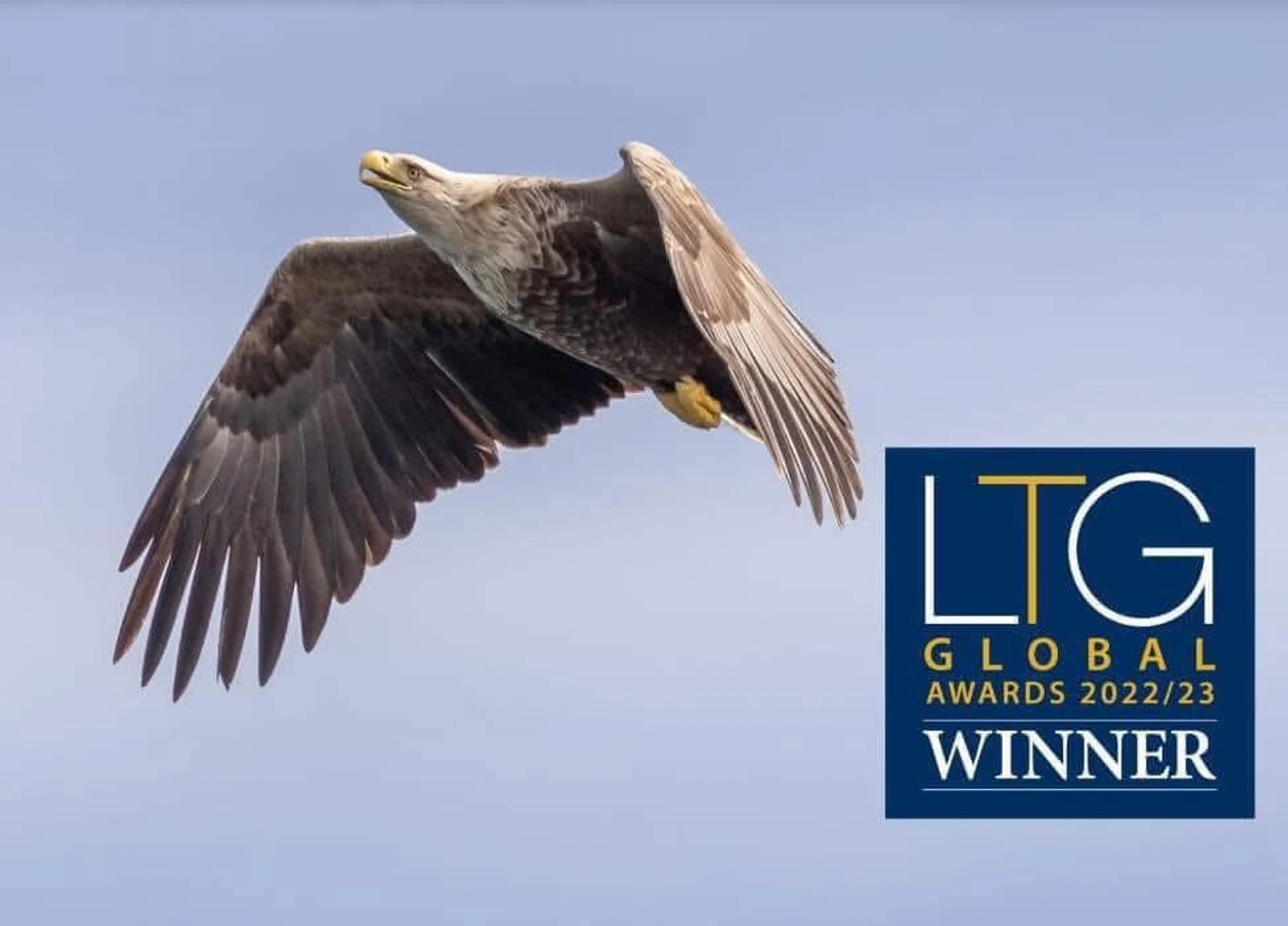 Background image - southqueensferryqfcrossing-roadbridge2.jpg