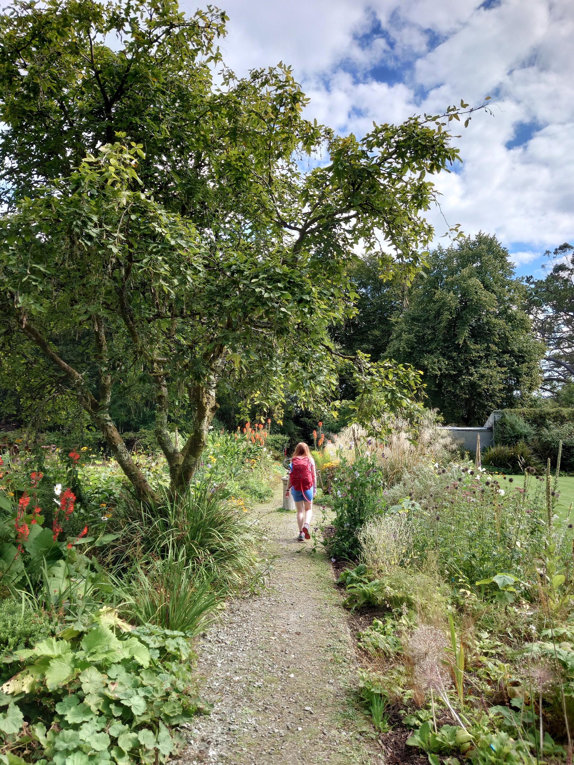 Background image - Heathery Heights, Achamore Walled Gardens, Gigha