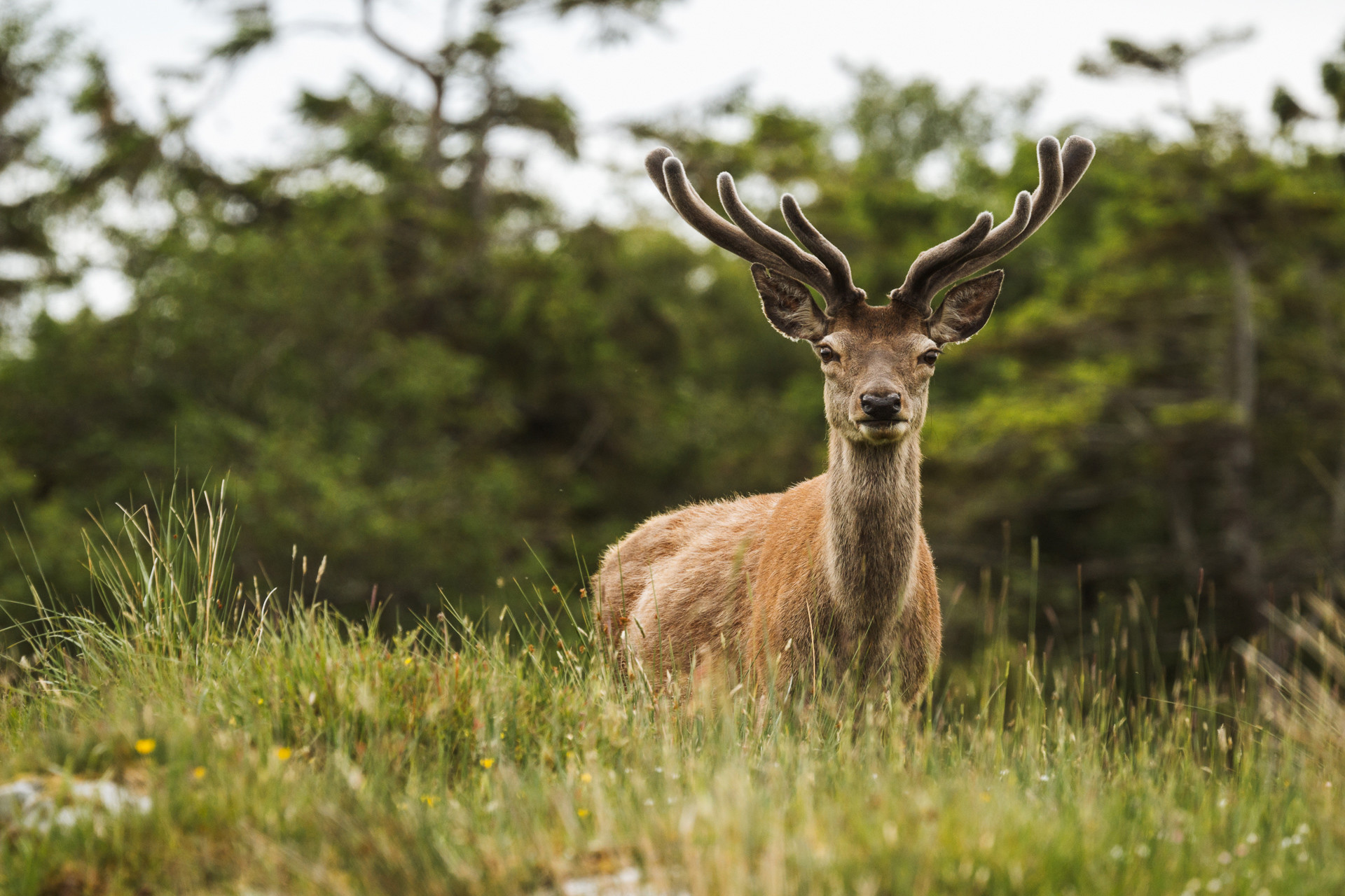Background image - Jura 2 Social Res 011 4560