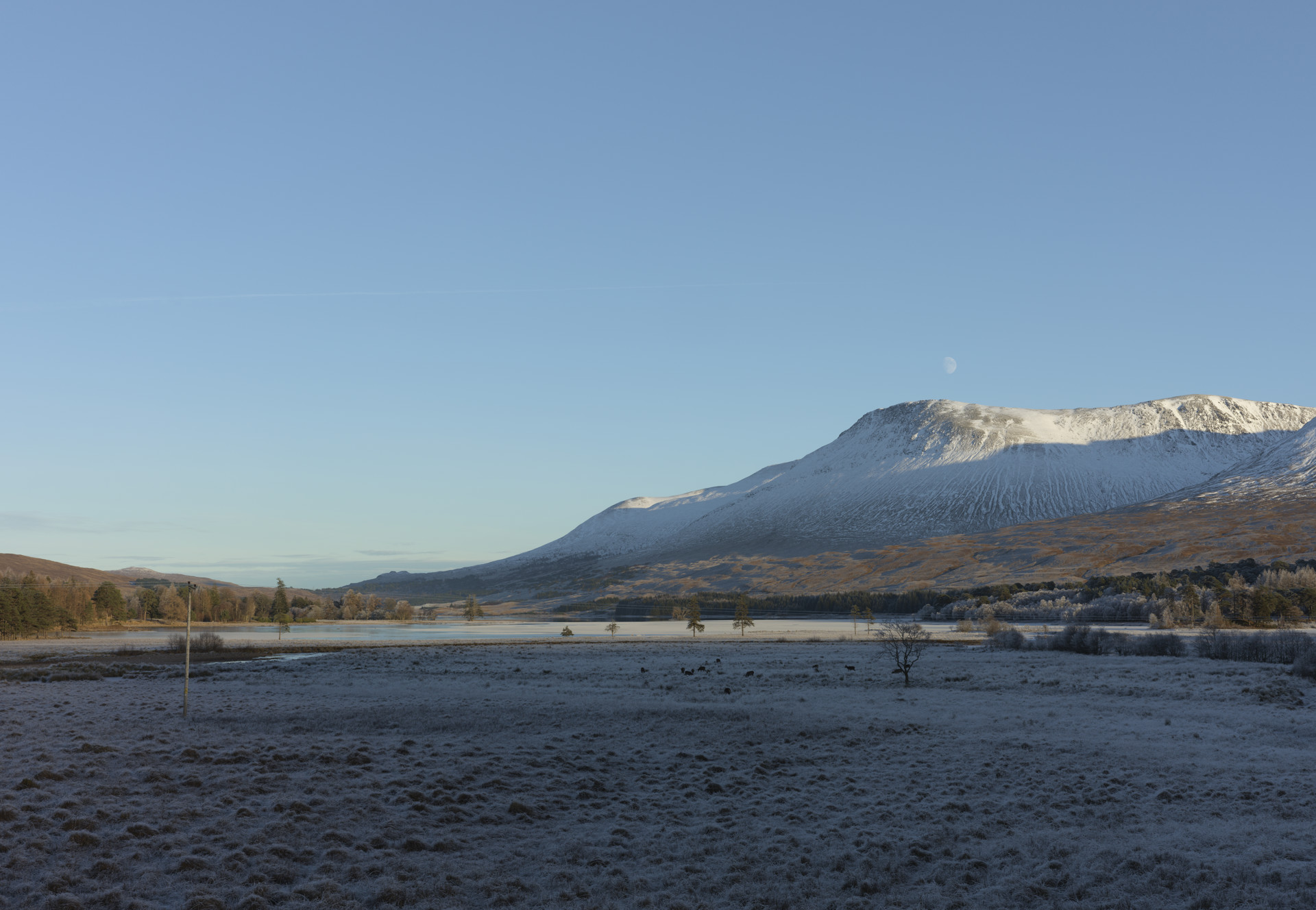 Background image - Bridgeoforchywideangle