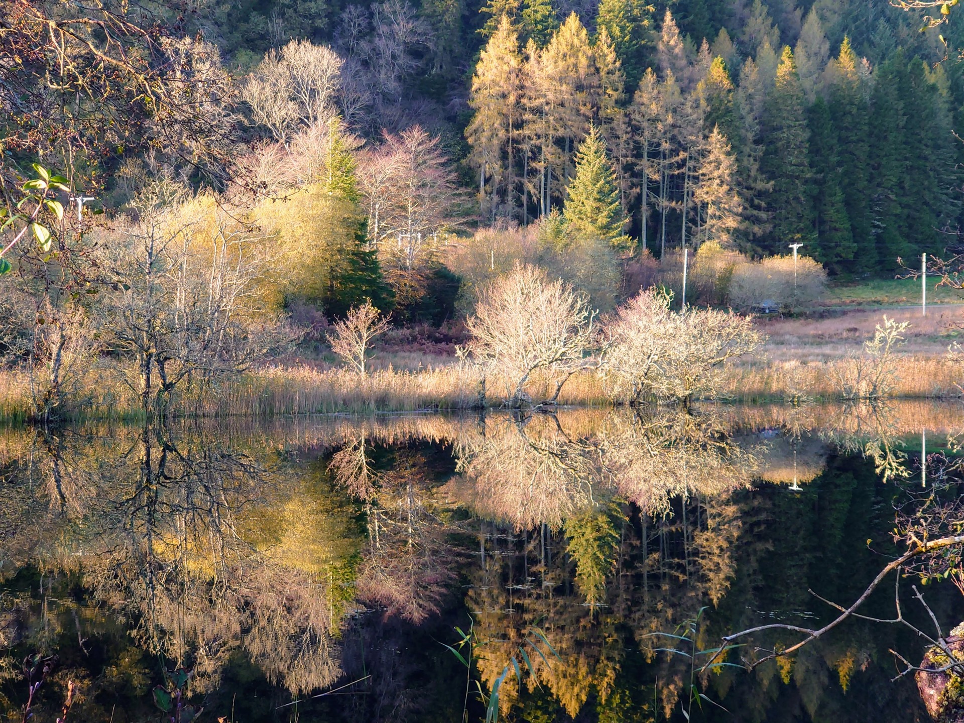 Background image - Autumn Reflections On Loch Barnluasgan 2. Heather Thomas Smith. Nov 2022