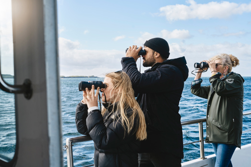 Go dolphin spotting with Islay Sea Adventures