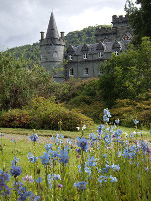 Inveraraycastle And Bluebells Portrait