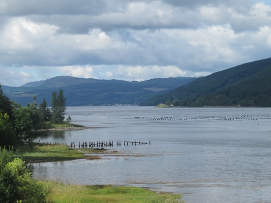 loch_fyne_from_ardkinglas_house.jpg