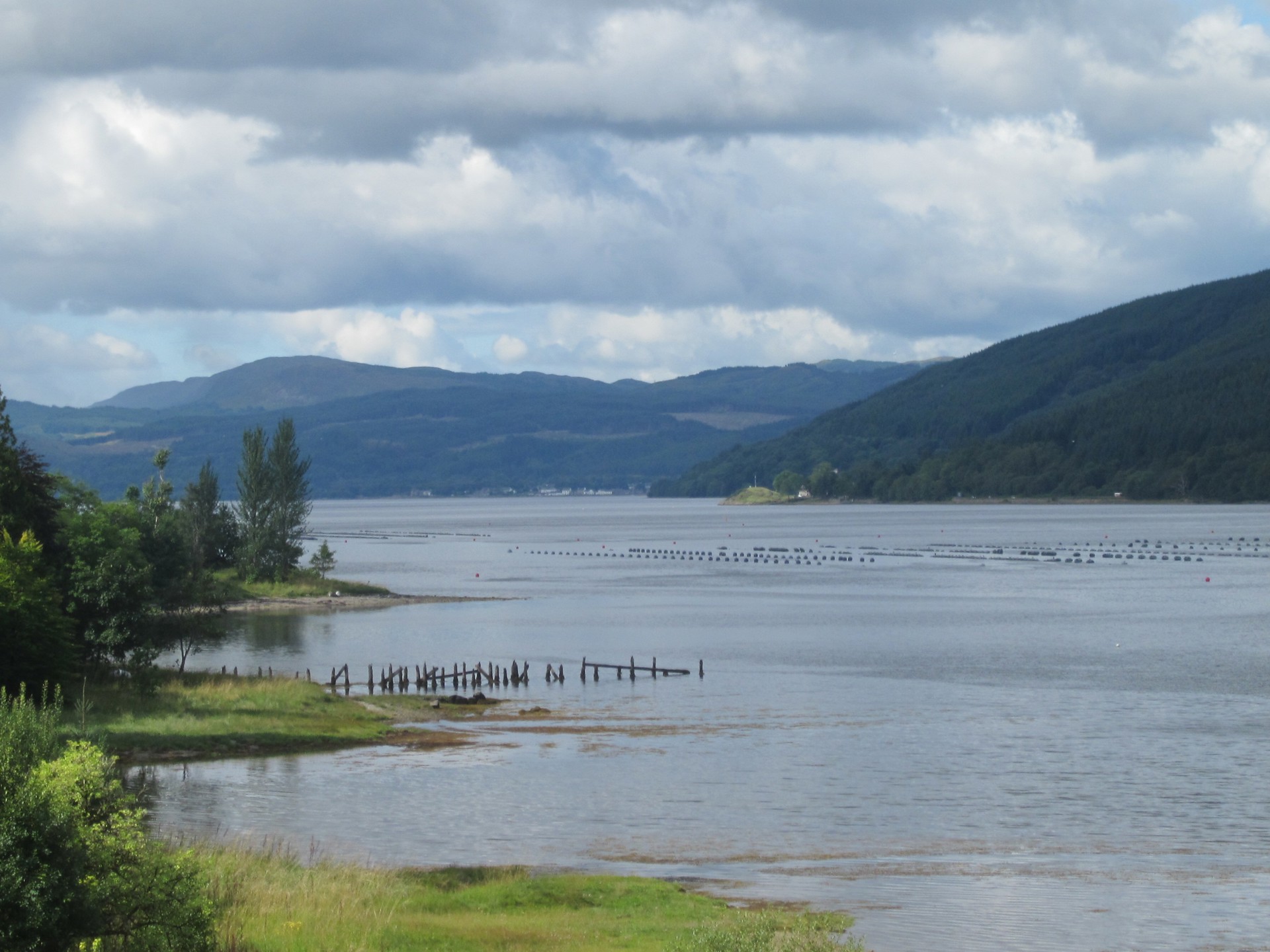 Background image - loch_fyne_from_ardkinglas_house.jpg